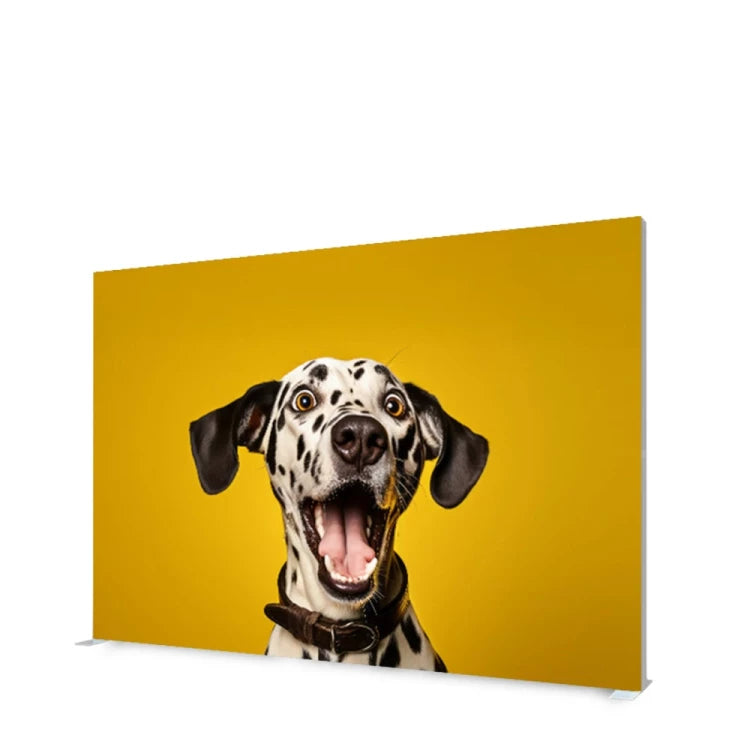 LED Frame XL